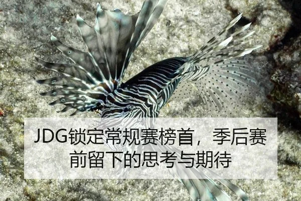 JDG锁定常规赛榜首，季后赛前留下的思考与期待